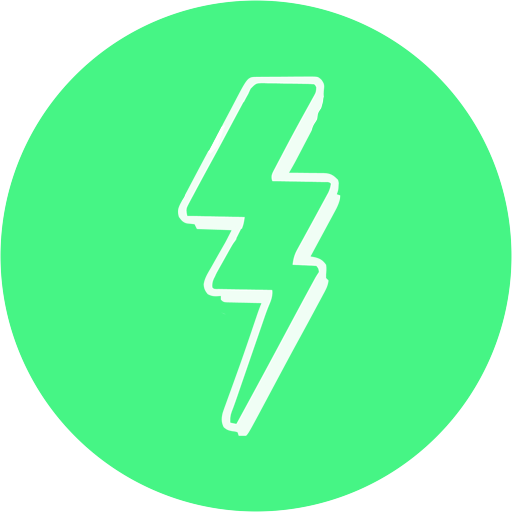 Fliz Video Generator logo