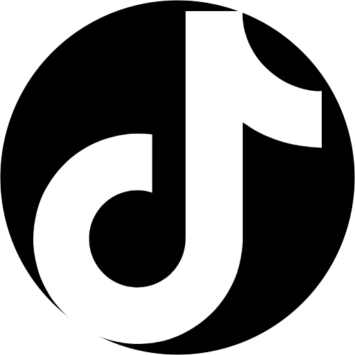 TikTok Audiences logo