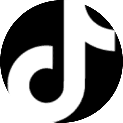 TikTok Campaign Management logo