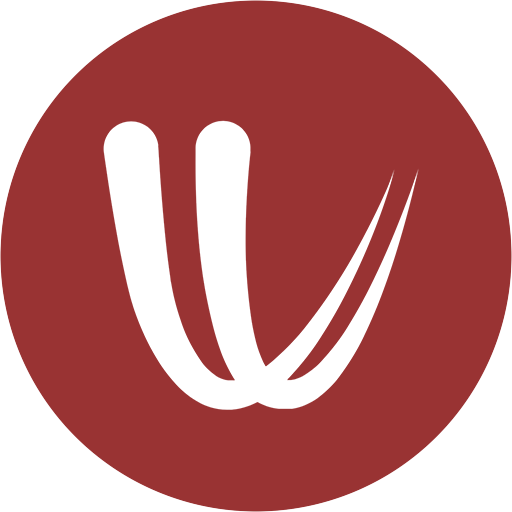Windy logo